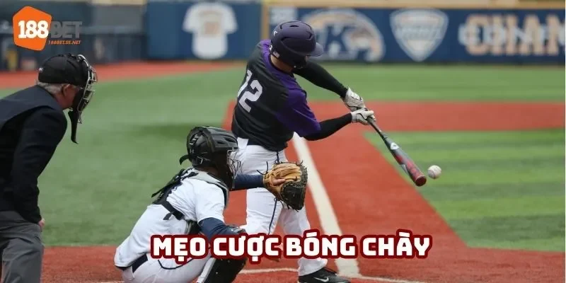 mẹo cược bóng chày