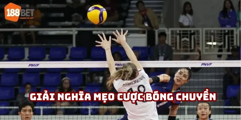 Giải nghĩa mẹo cược bóng chuyền